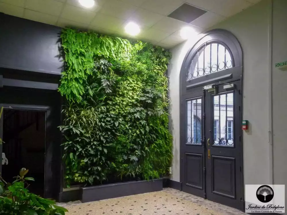 Entryway Green Wall