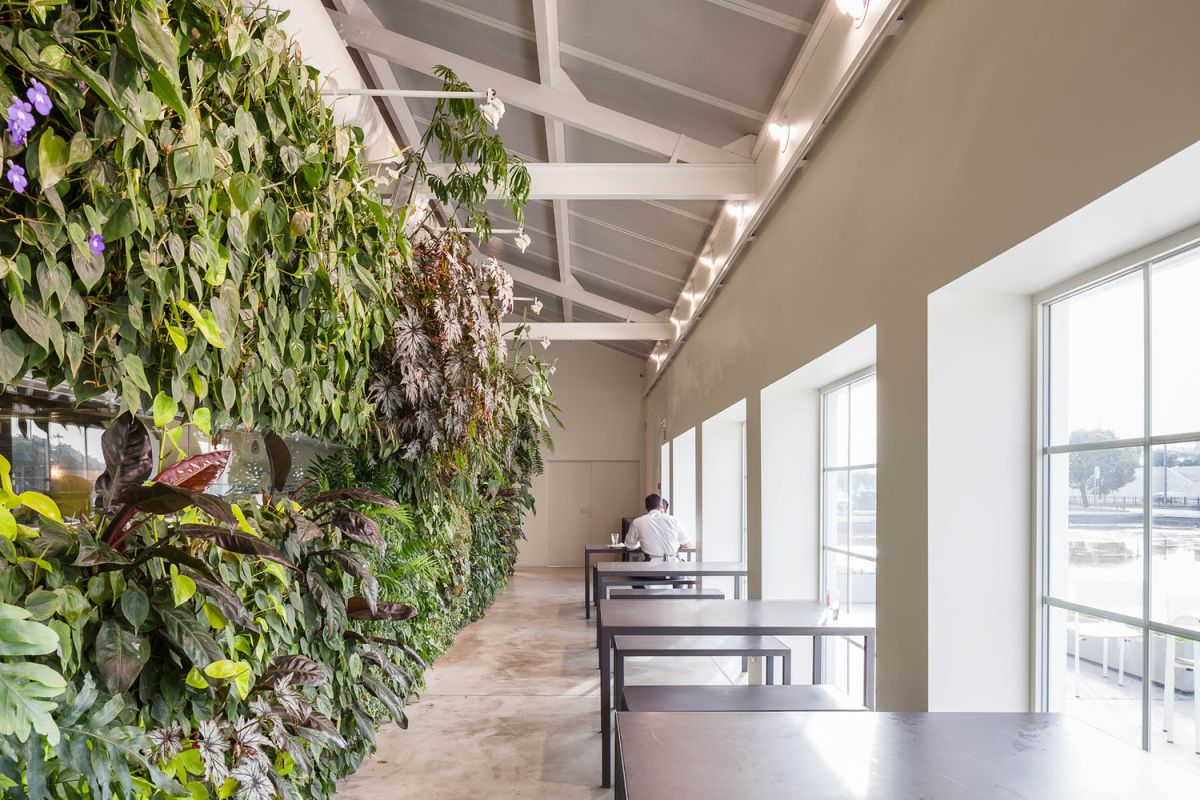 Espelho D' Água Space with Vertical Garden