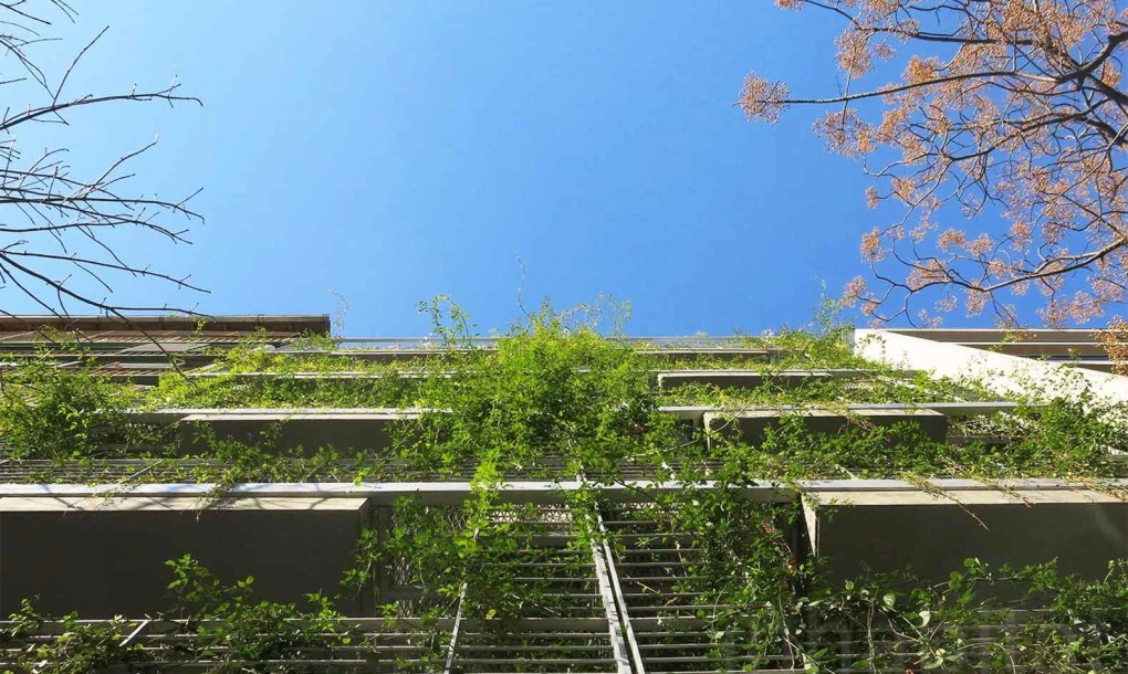 Facade Mario Cito LEED Seeking Palo Santo Hotel Buenos Aires