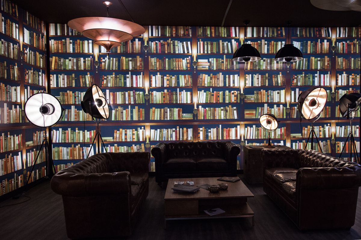 Fake wall Library for living room books wallpaper