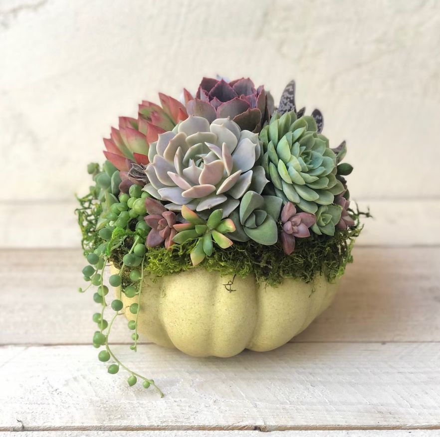 Faux Pumpkins With Real Succulents