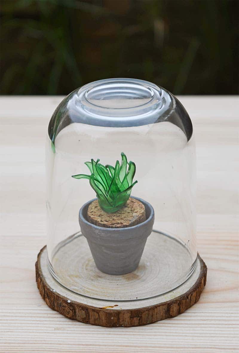 Faux terrarium succulent