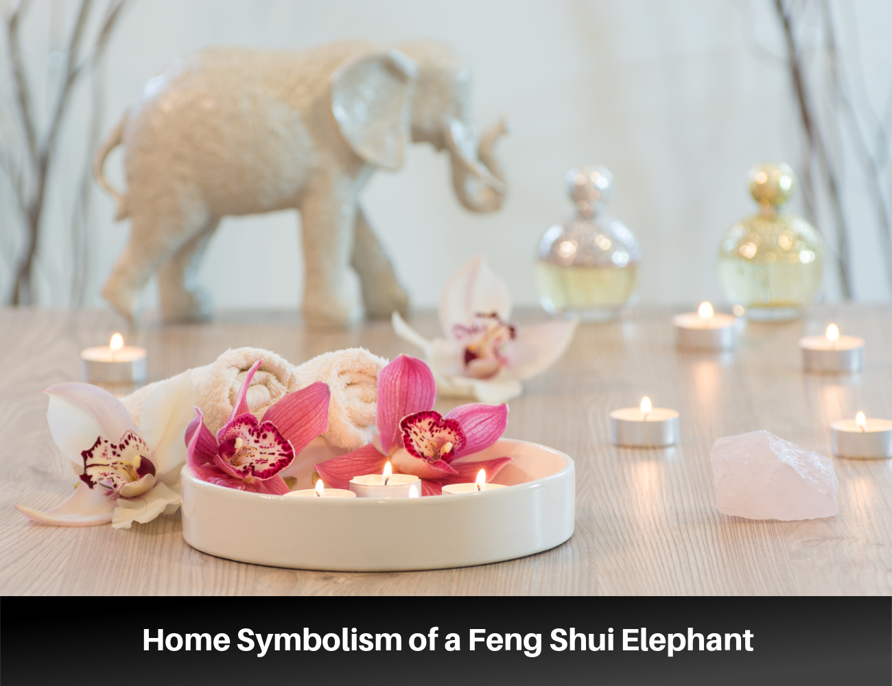 Symbolism of a Feng Shui Elephant in the Home