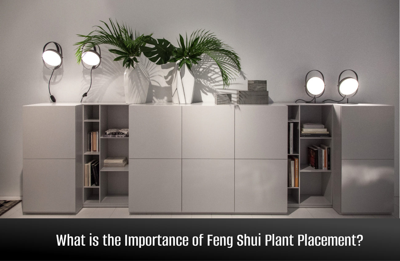 Feng Shui Plant Placement and the Best Varieties