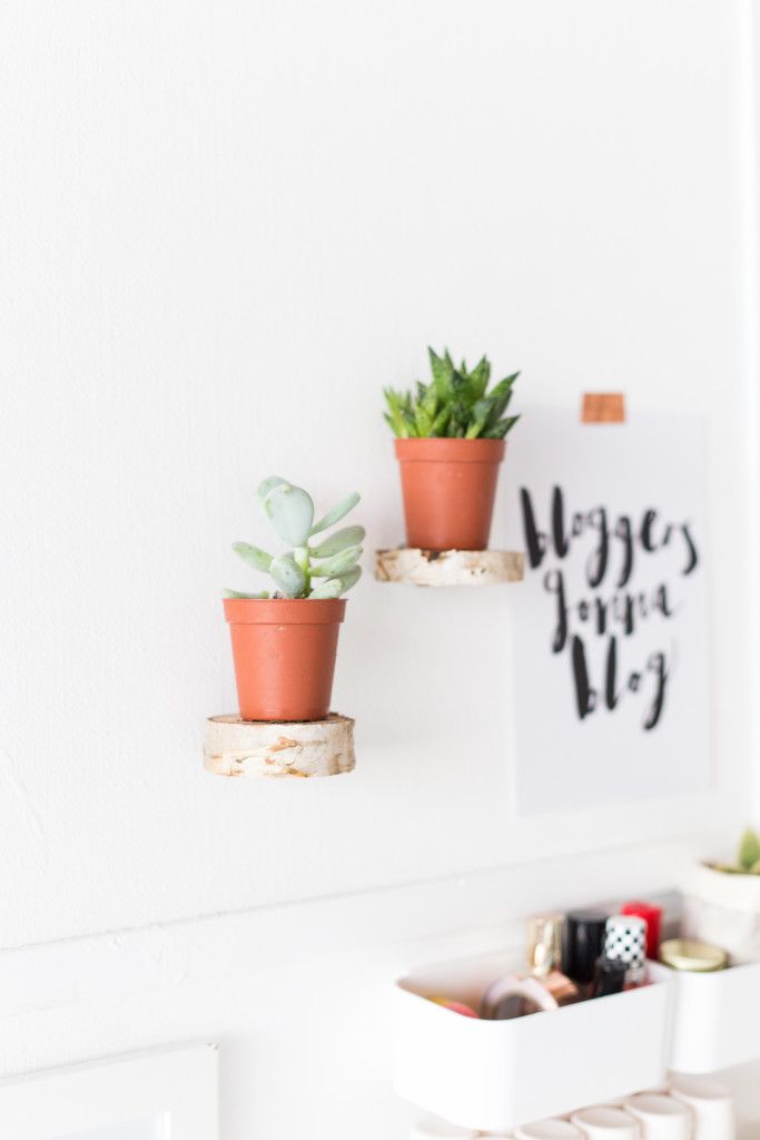 Floating Plant Shelves from a Birch Wood