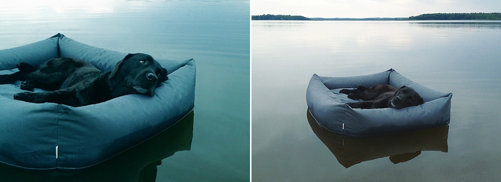 Floating dog bed