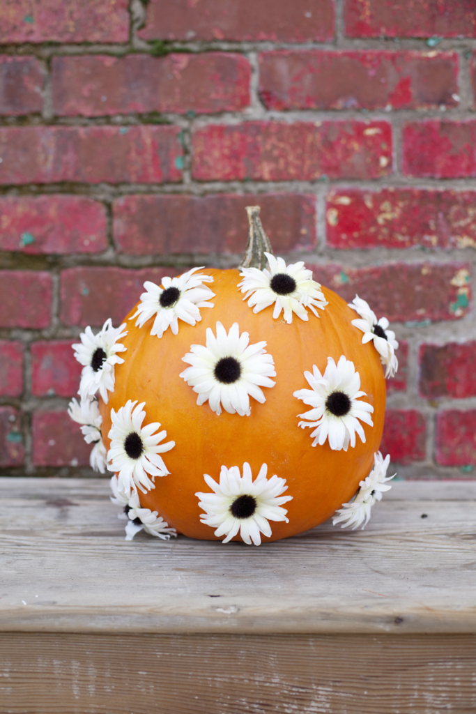 Flower Dotted Pumpkin