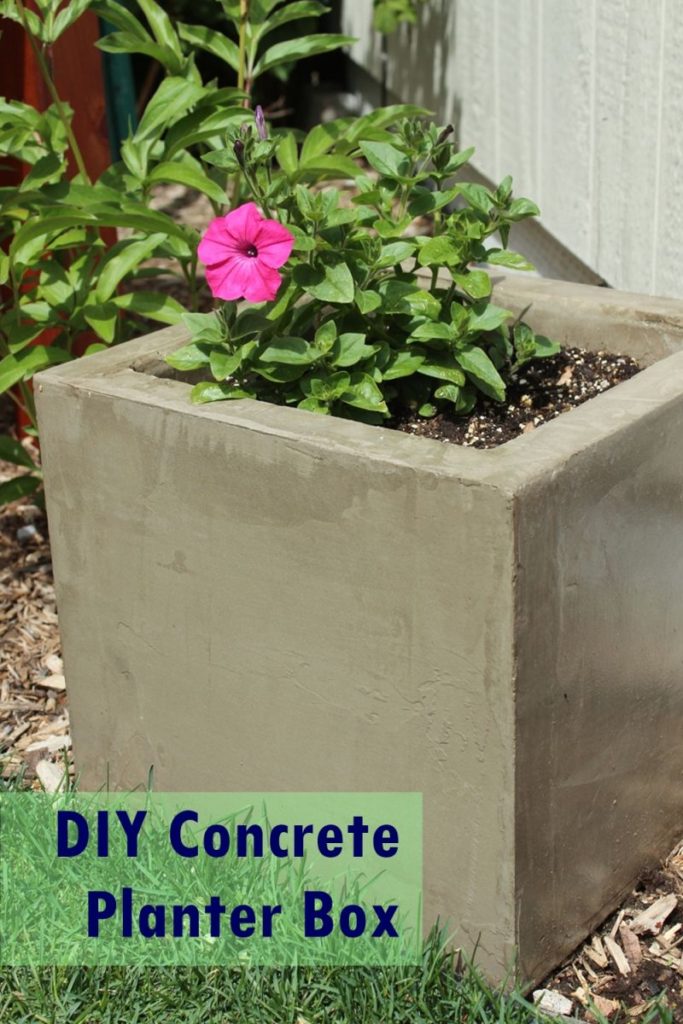 Flowers in concrete planters 683x1024