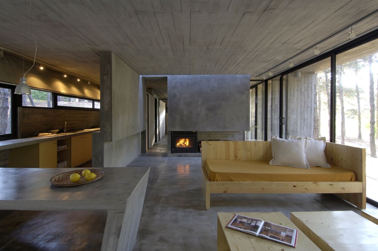 Forest concrete house interior