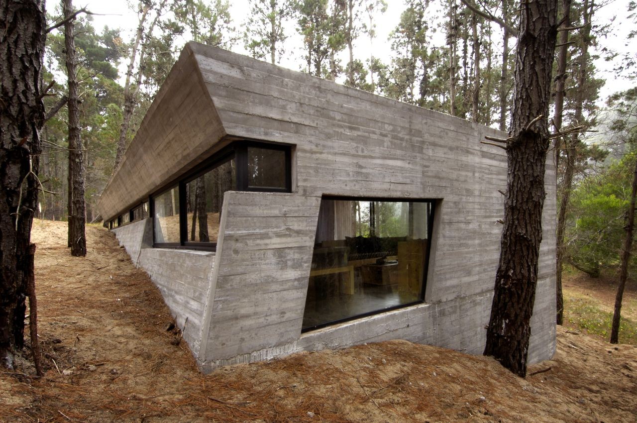 Forest concrete house irregular windows