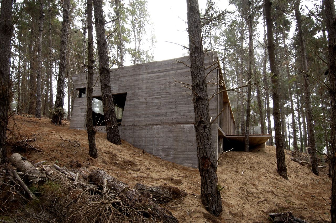 Forest concrete house walls