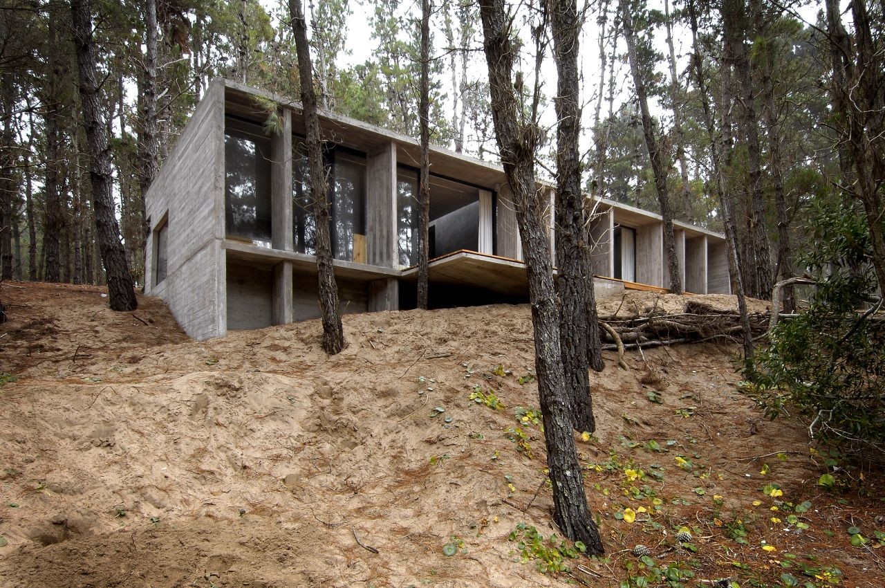 Forest concrete house