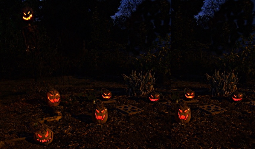 Front yard pumpkin decorating night