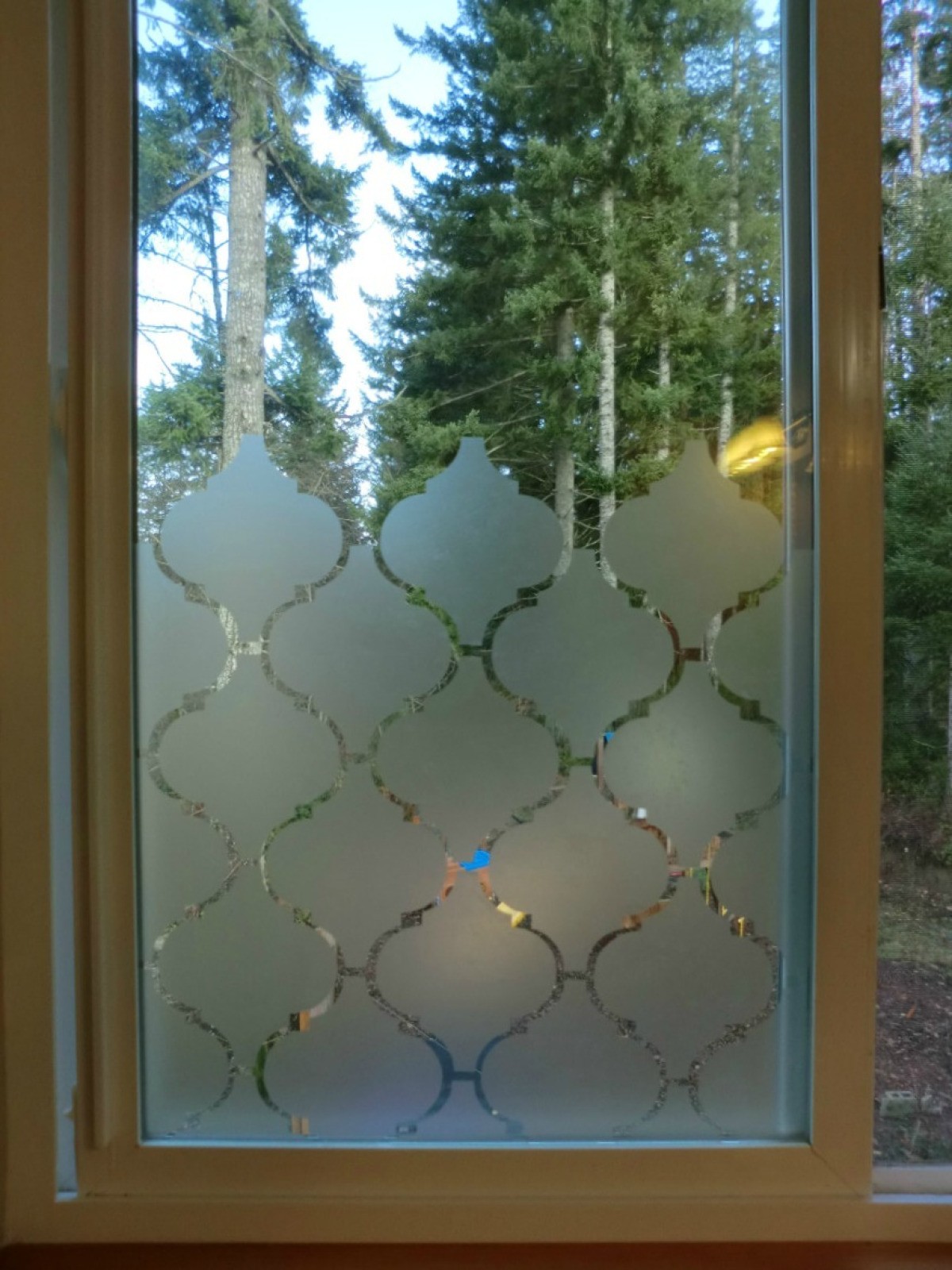 Frosted Glass Privacy Window