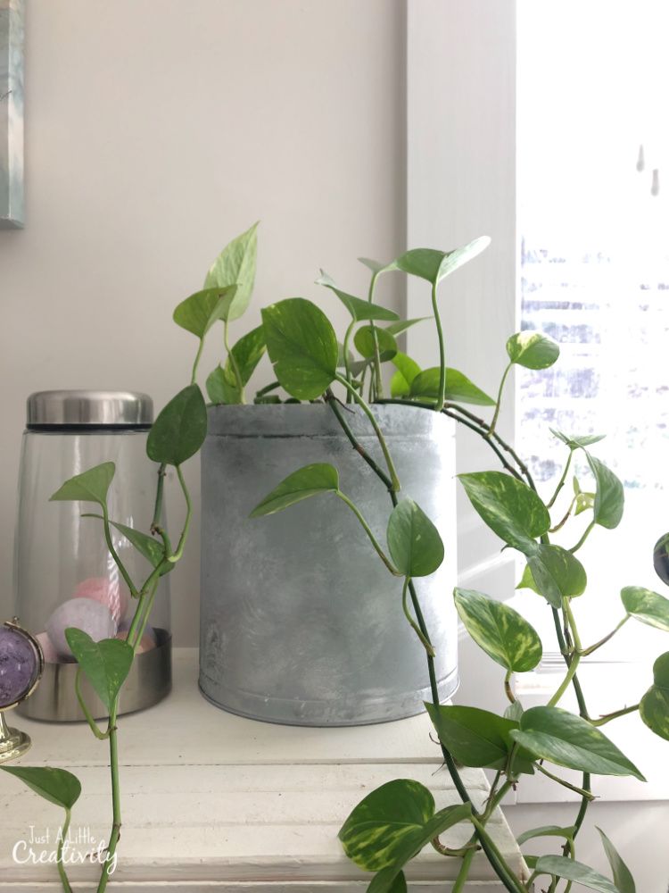 Galvanized metal planter
