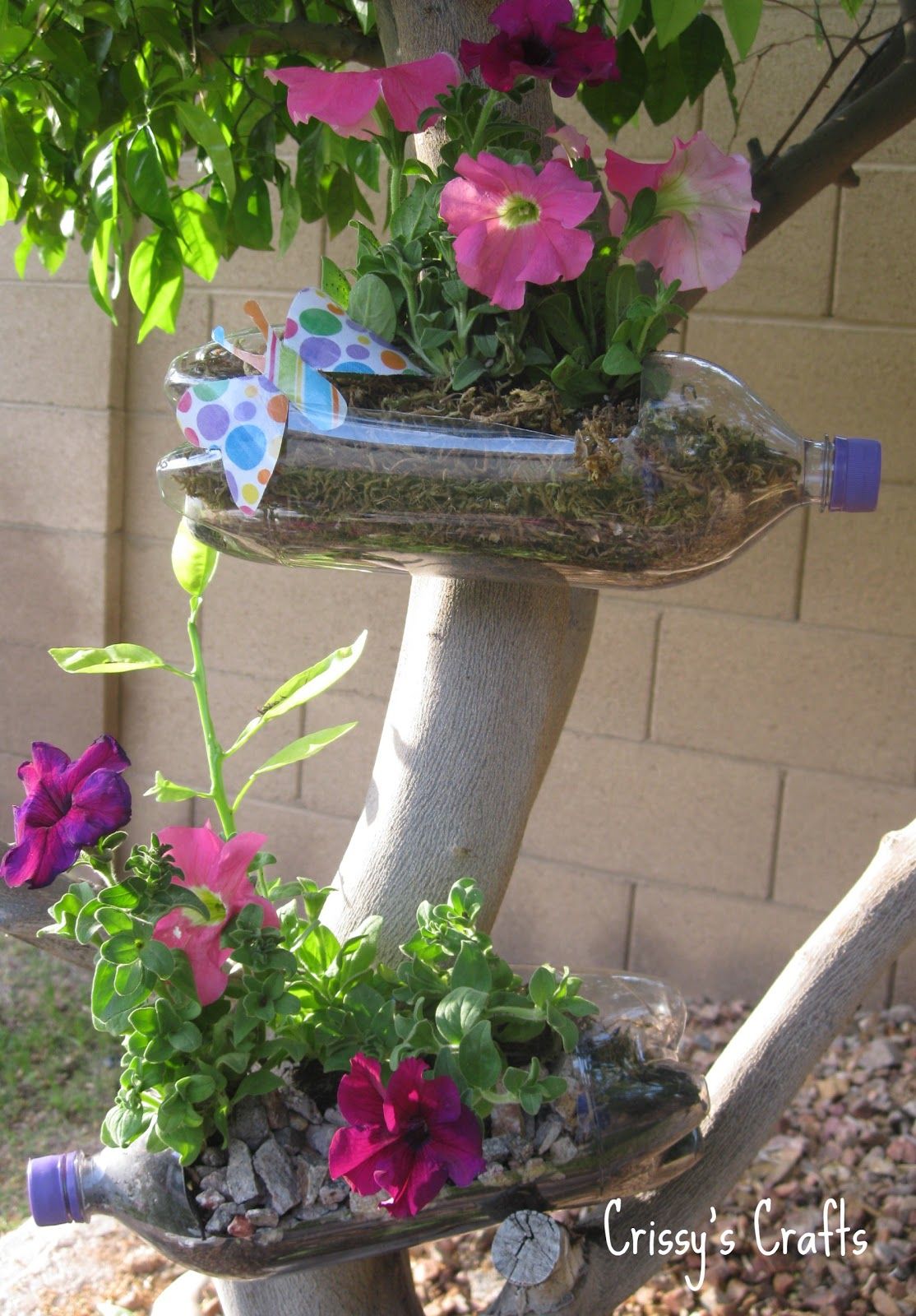 Garden recycle plaster bottles