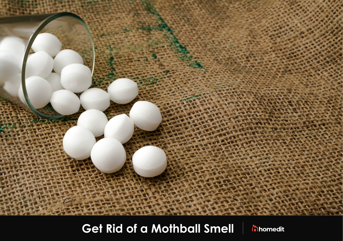 The Best Way to Get Rid of a Mothball Smell