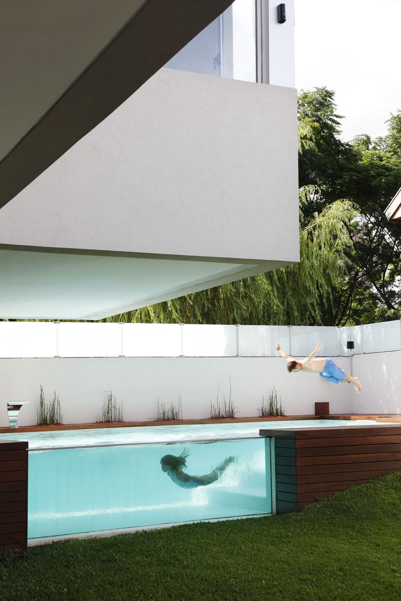 Glass Swimming pool in Devoto House by Andres Remy Arquitectos