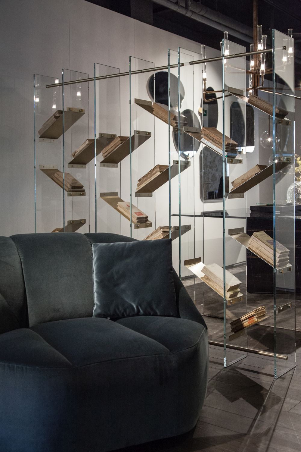 Glass Wall divider and bookcase