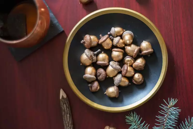 Gold leaf Acorns