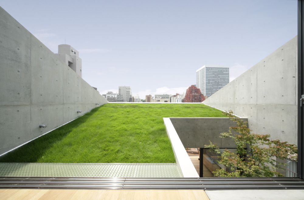 Grass Building in japan Ryo Matsui Architects roof