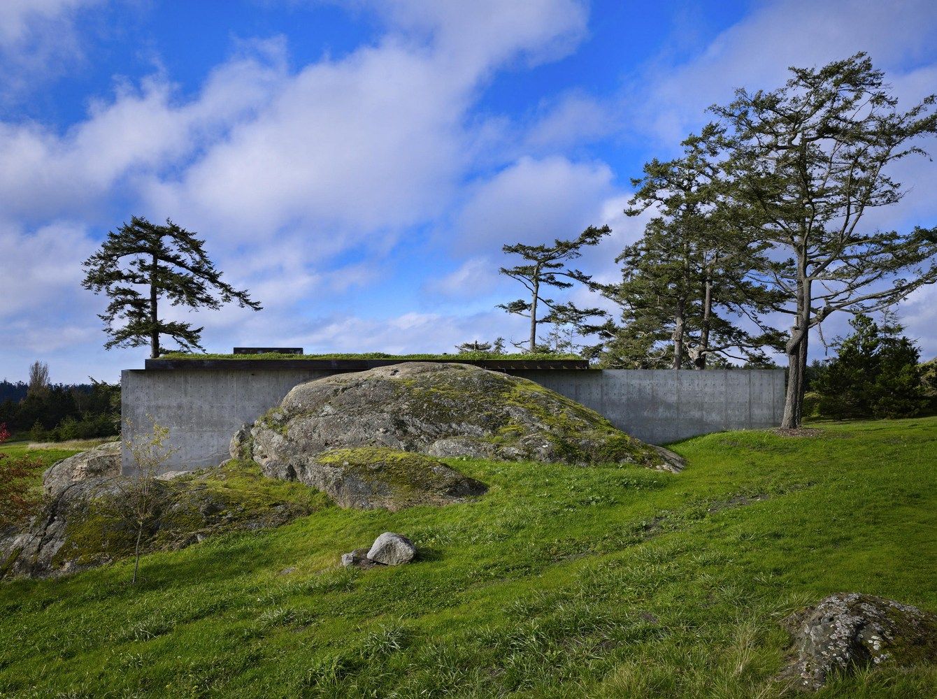 Green Roof The Pierre House by Olson Kundig