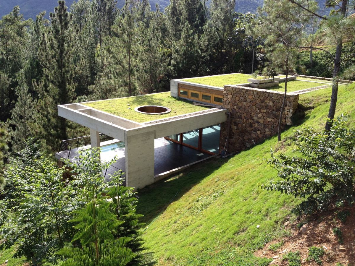 Green roof house by VASHO Architecture