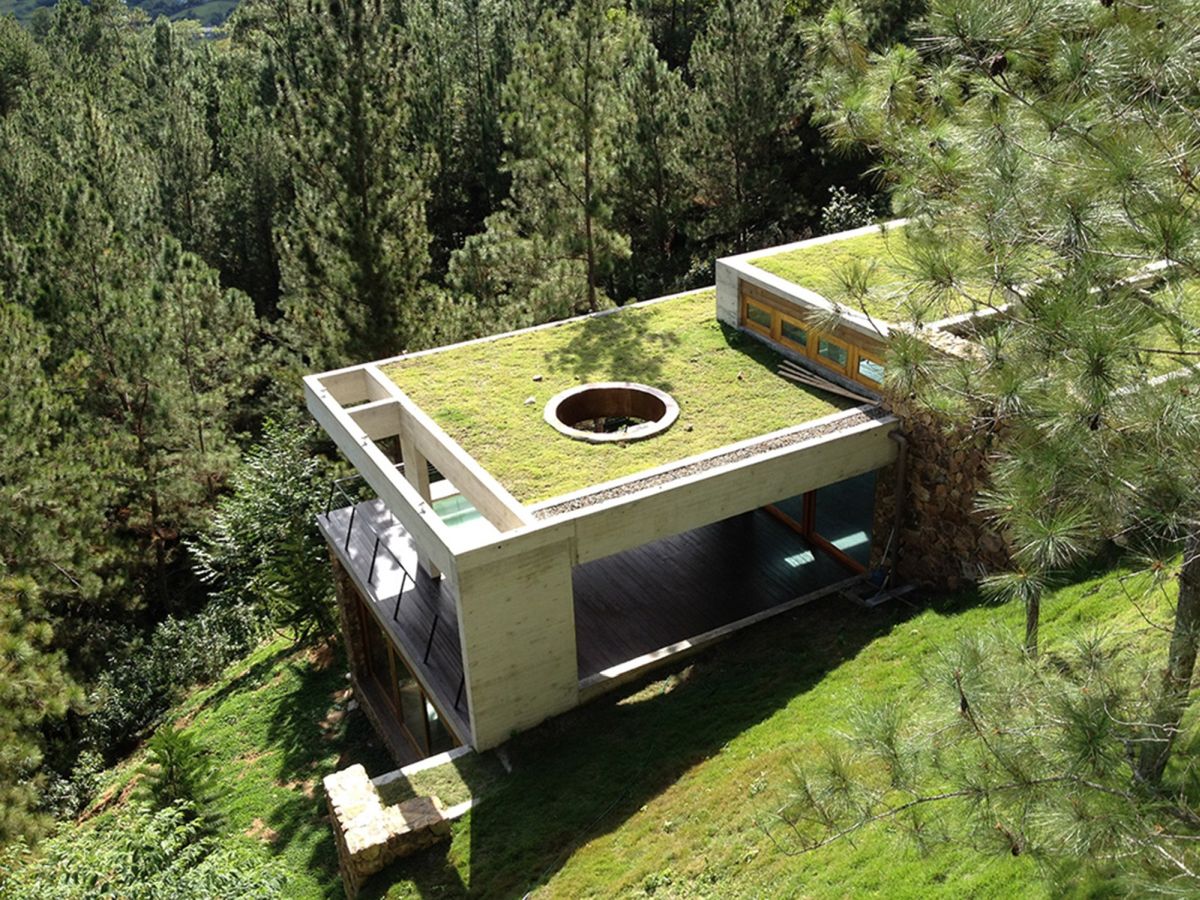 Green roof house by VASHO