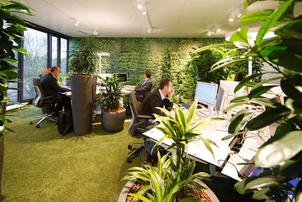 Greenery offices from easyCredit – Nuremberg Headquarters