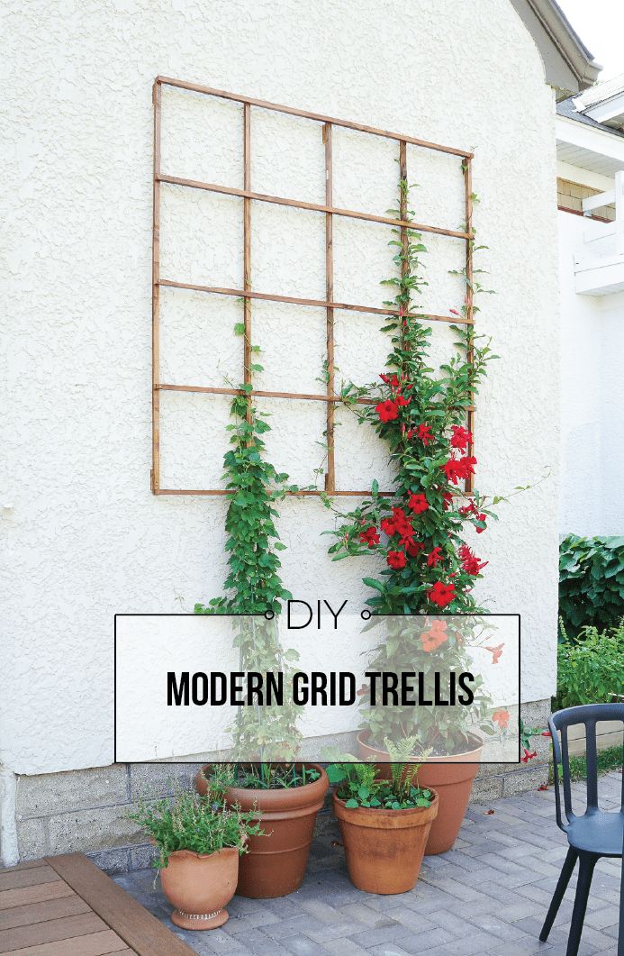 Grid Trellis from Garden Stakes