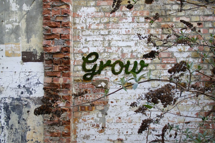 Grow Anna Galforth Moss Wall