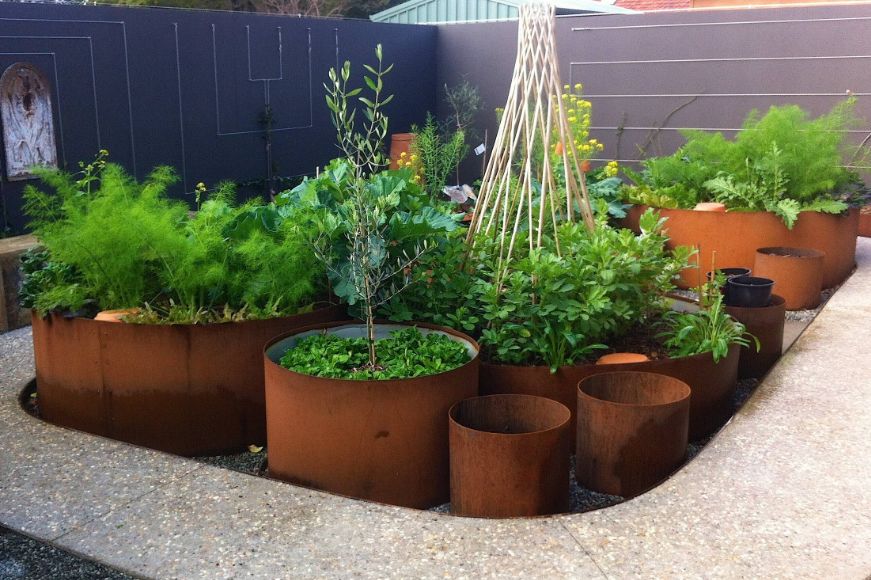 Growing plants in corten planters