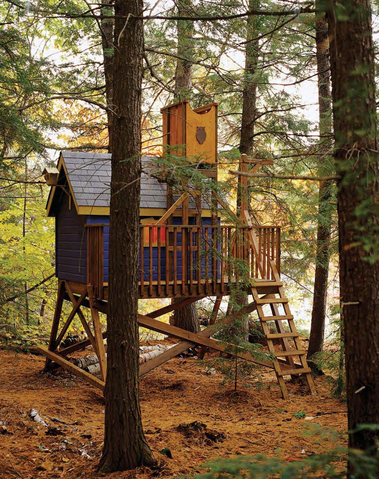 Colorful treehouse suspended above ground