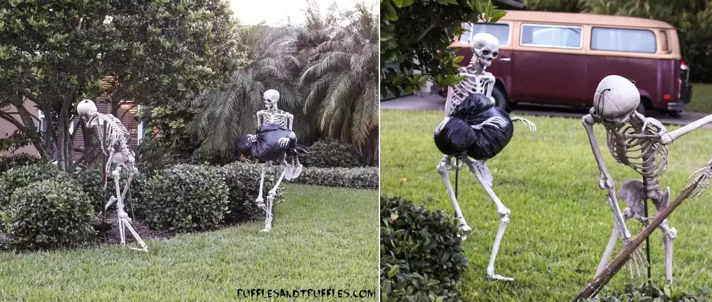 Halloween Skeleton Lawn