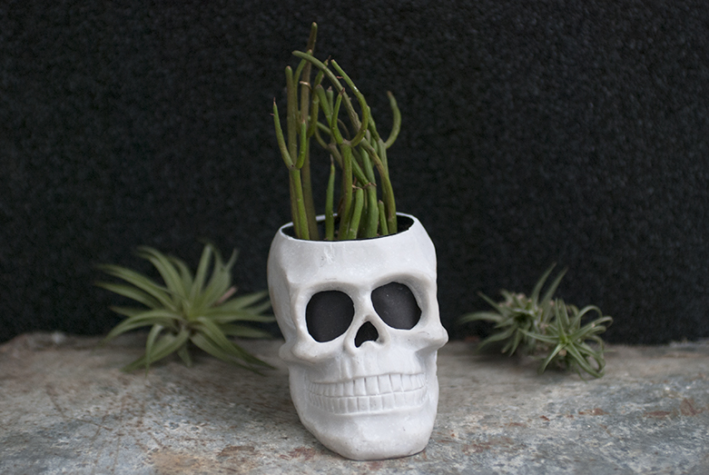 Halloween Skull Planter