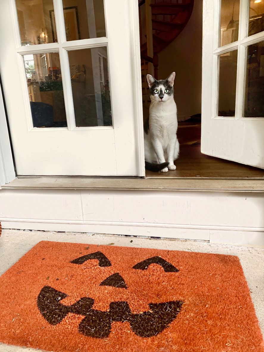 A Dozen Interesting Ways To Make Your Own Custom DIY Fall Doormat