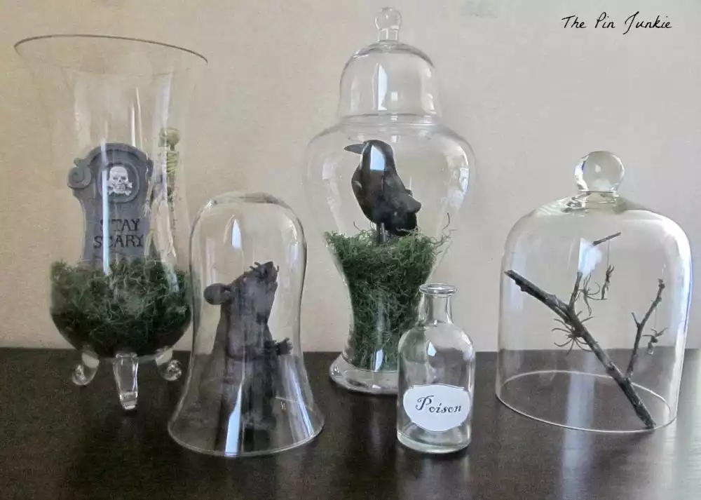 Halloween moss vases