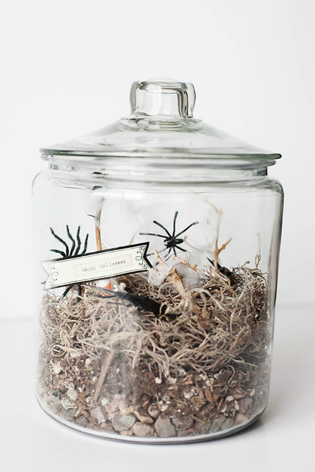 Halloween terrarium