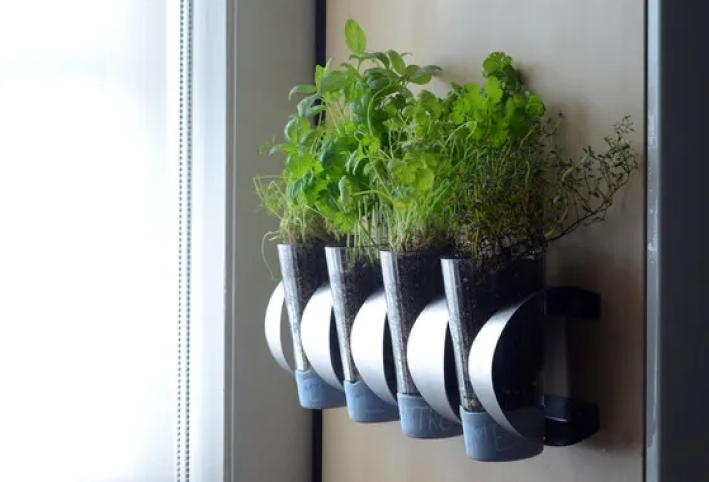 Hang Your Indoor Herb Garden Using A Wine Rack