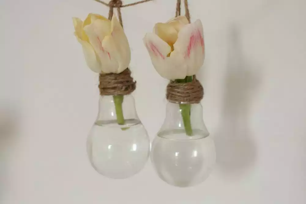 Hanging Vase from a Light Bulb