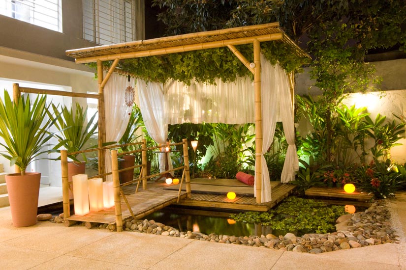 Hanging plants pergola