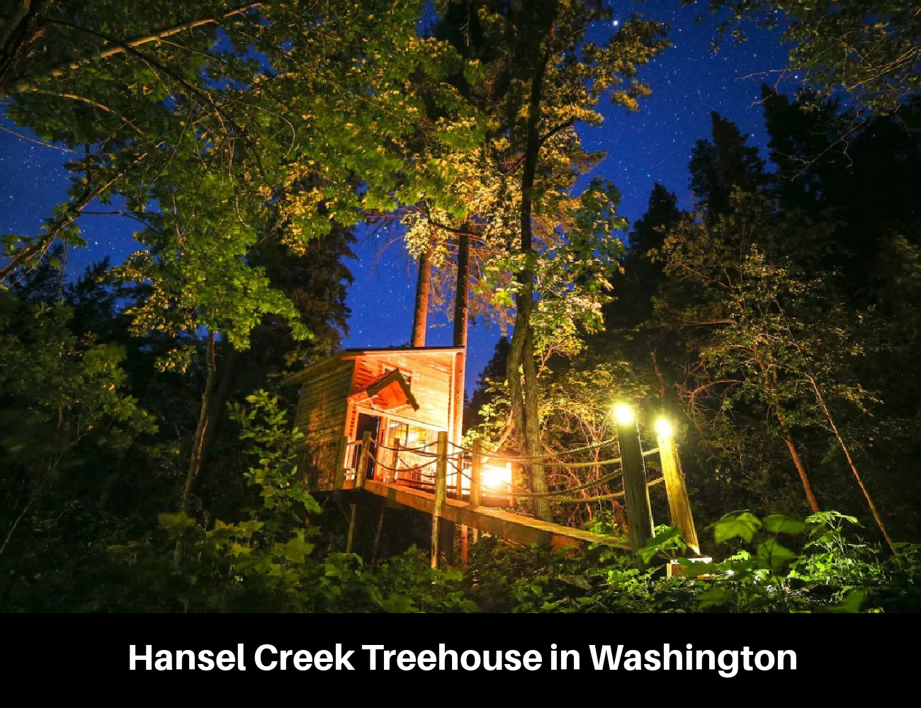 Hansel Creek Treehouse in Washington