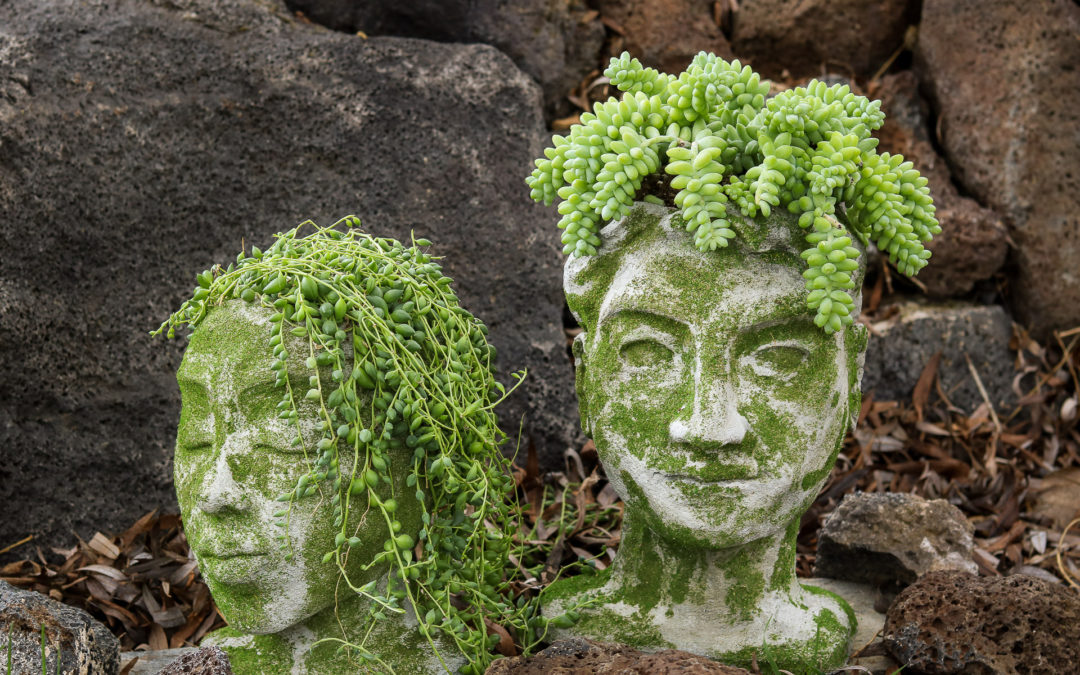 Head planters from concrete