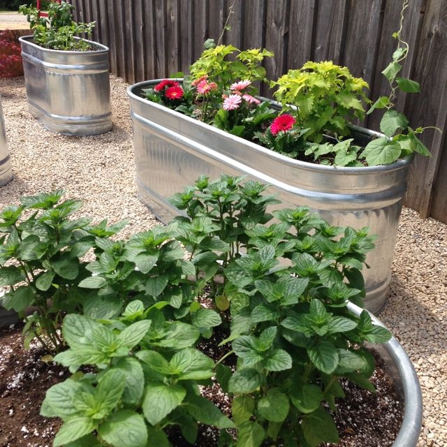 Herbgarden from galvanized tubs