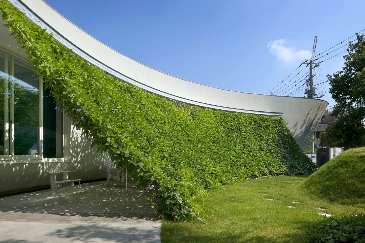 Hideo Kumaki Architect Office Green Wall