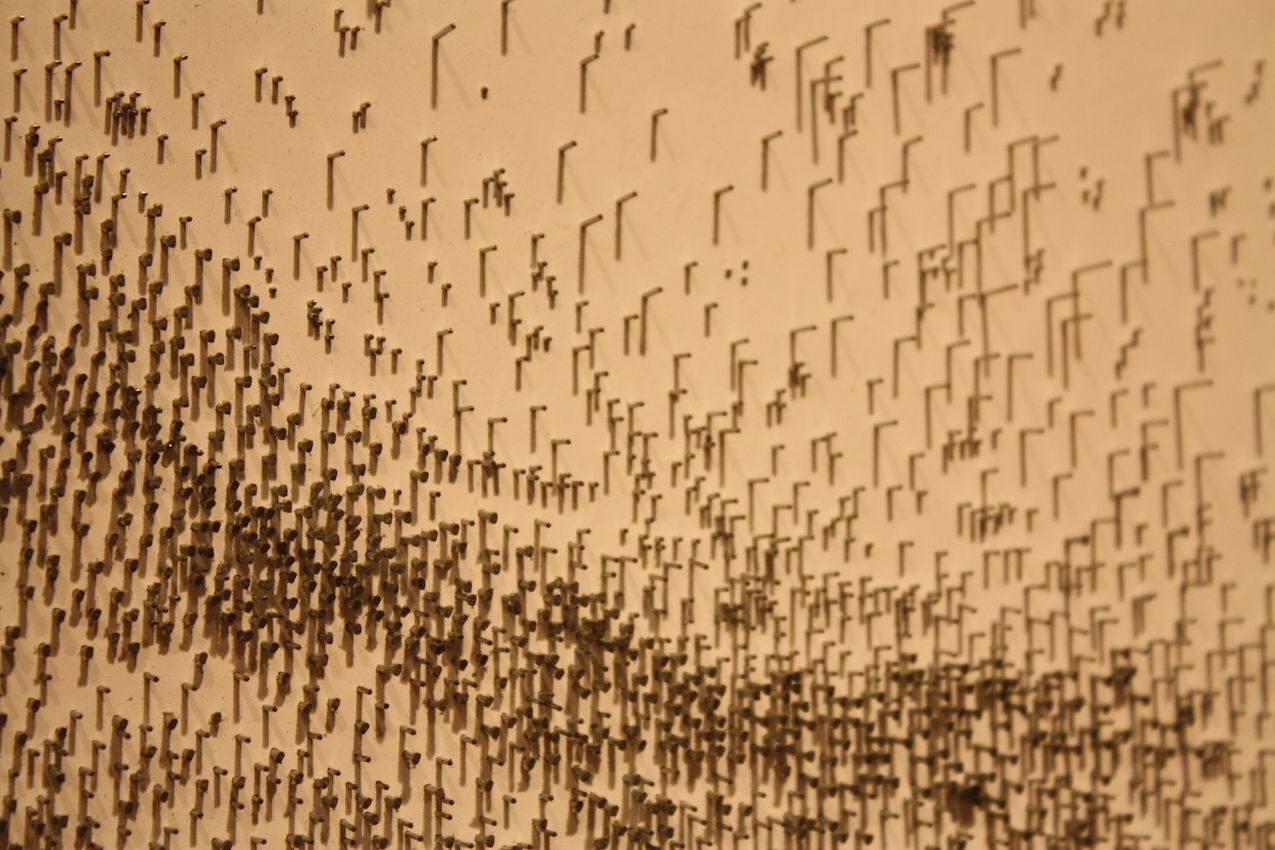 The close view looks like a random scattering of nails.