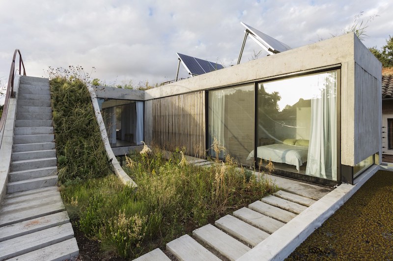 House Built Around A Vertical Garden