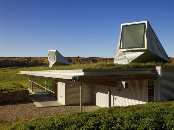 House in Caledon Eco roof1