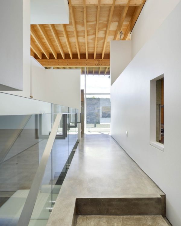 House in Caledon Eco roof4