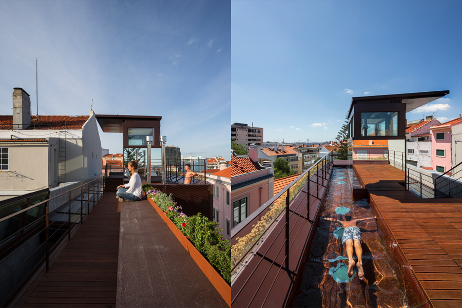 House in Traversa with Vertical Garden Plants Facade Roof
